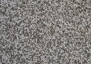 chia-163763_640