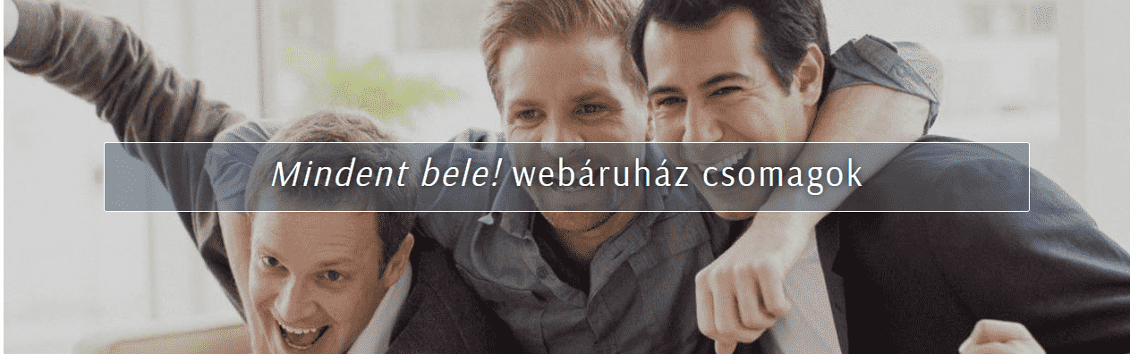 webshop készítés és bérlés ár